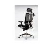 Ceo 1